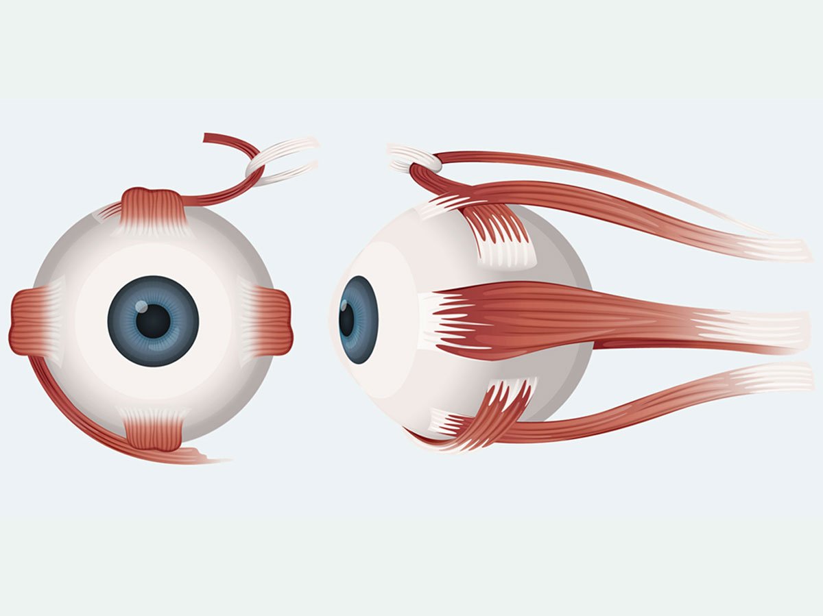 two eye ball cartoons side by side and one is looking at the other